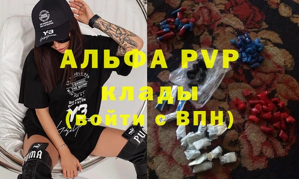 спиды Новодвинск