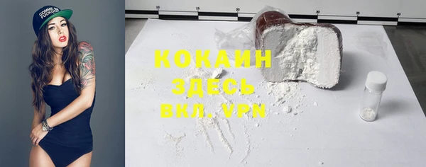 спиды Новодвинск