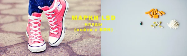 mdpv Новозыбков