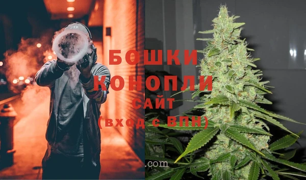mdpv Новозыбков