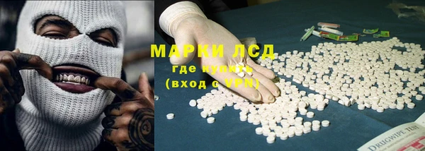 спиды Новодвинск