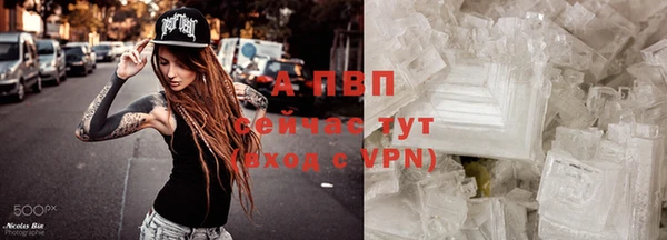 mdpv Новозыбков