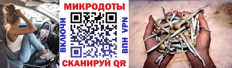 Галлюциногенные грибы ЛСД  MEGA ONION  Зеленокумск 