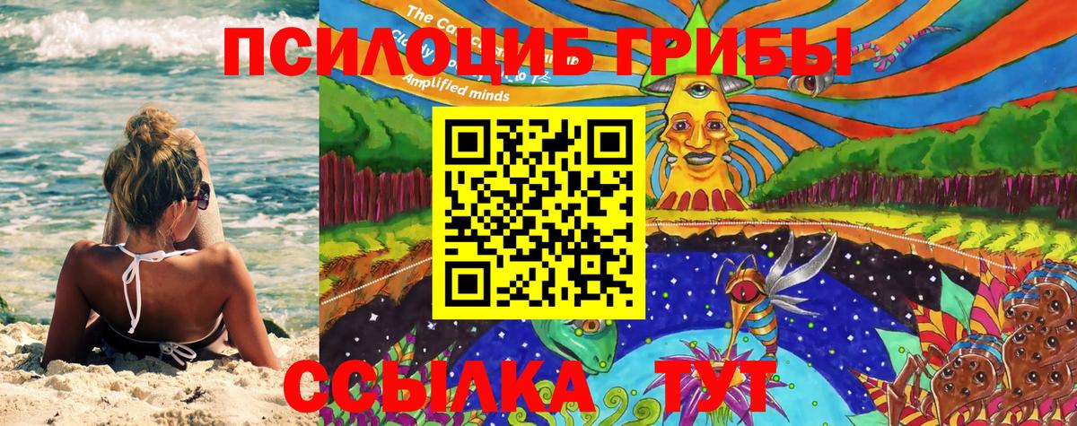 Псилоцибиновые грибы Psilocybine cubensis  Зеленокумск 