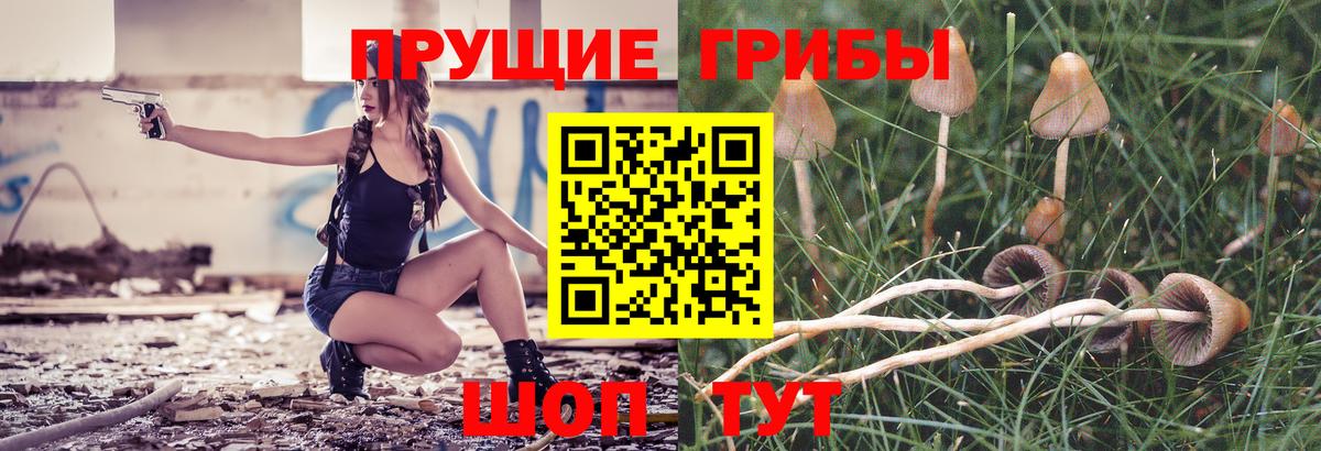 Галлюциногенные грибы Psilocybine cubensis  Вход с VPN  Псилоцибиновые грибы прущие грибы  Зеленокумск 