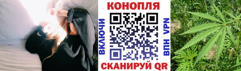 дарнет шоп Зеленокумск Шишки марихуана OG Kush
